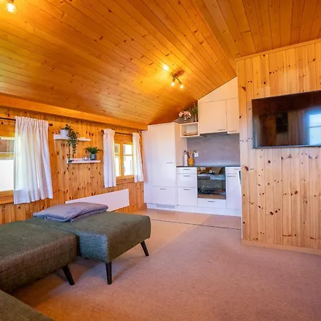 Baergdohla Attika Appartamento Bettmeralp