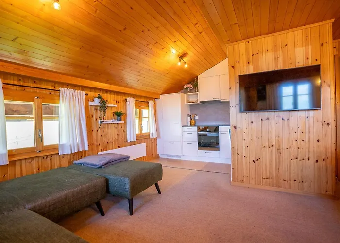 Bärgdohla Attika Lägenhet Bettmeralp